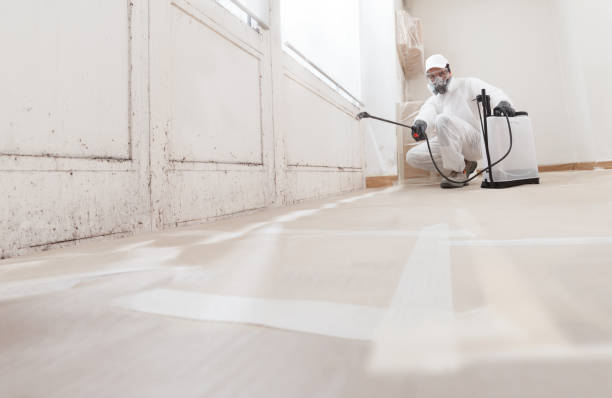 24/7 Emergency Mold Removal experts in Sparta, GA