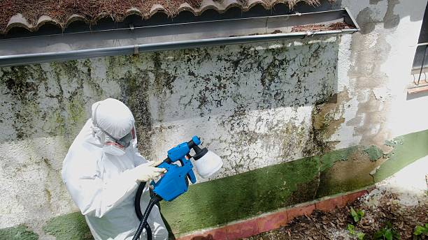 Top rated local Mold Removal specialists in Sparta, GA
